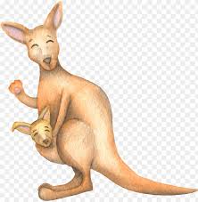 Kangaroo Cute Png Image With Transparent Background Toppng You can use this image freely on your projects to create stunning art. kangaroo cute png image with