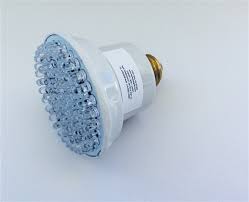 Color Changing Led Spa Bulb