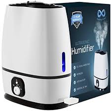 Humidifiers are used for moisturizing the air around you. 8 Best Large Room Humidifier Reviews In 2021 Weather Station Advisor