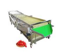 4+1 Grades Industrial Date Palm Grading Machine Olive Size Sorting Selecting Machine