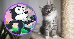 Sometimes the name pops to your mind and sometimes you need a little inspiration. Can You Name All These Cartoon Cats