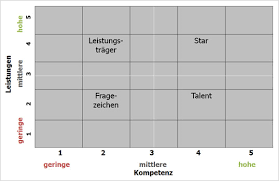 Wie in der definition zu sehen, können wir einerseits zwischen geplanten, strukturierten und andererseits spontanen, informellen, situationsabhängigen mitarbeitergesprächen unterscheiden. Strategische Personalentwicklung Potenzialanalyse Fur Projektleiter Und Mitarbeiter