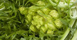 Check spelling or type a new query. Puntarelle Fresche Cod 7882