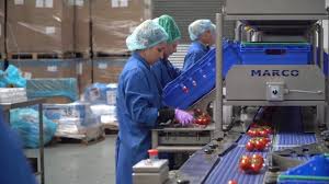 Ni se pune des întrebarea, de ce în germania şi nu numai nu există suficientă forţă de muncă sau de ce se caută tocmai angajaţi din românia. Locuri De Munca Pentru Necalificati Pentru Fabrici Si Depozite De Produse Alimentare Germania Ropia