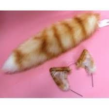 Orange Tabby Realistic Cat Ears Airbrushed Orange Tabby Cat Ears Orange Kittens