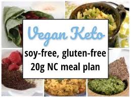 Vegan Ketogenic Diet Basics Meat Free Keto Vegan Keto Recipes Vegan Keto Recipes Vegan Keto Vegan Ketogenic Diet
