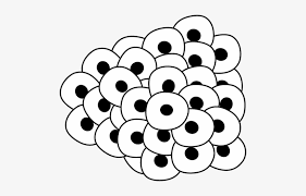 Egg Clipart Line Drawing Drawing Of Frog Egg 500x445 Png Download Pngkit Want to discover art related to easter_egg_clipart? egg clipart line drawing drawing of