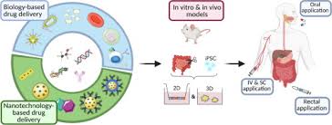 Alvarez, 755 f.2d 830, 842 n. Drug Delivery To The Inflamed Intestinal Mucosa Targeting Technologies And Human Cell Culture Models For Better Therapies Of Ibd Sciencedirect