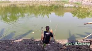 Sampai Melengkung Tajam Mancing Kolam Lamongan Kota Nila Babon Youtube