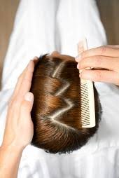 These patterned hairstyles tin truly convey a fresh vibe to your pilus game. Zig Zag Braids Lovetoknow