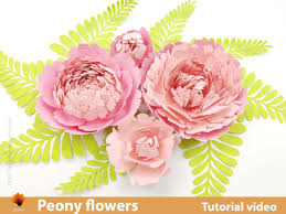 Peony Svg Cut File Free Svg Cut Files Create Your Diy Projects Using Your Cricut Explore Silhouette And More The Free Cut Files Include Svg Dxf Eps And Png Files