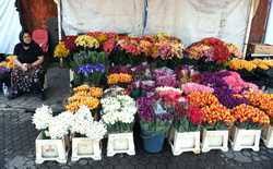Public square · farmers market. Bucuresti Piata De Flori George Cosbuc Agerpres ActualizeazÄ Lumea