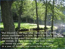 Jeremiah 17 7 8 Bloom Where You Are Planted Trees To Plant Names Of Jesus