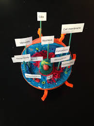 Maybe you would like to learn more about one of these? Animal Cell Learning Tool 18 Steps With Pictures Instructables