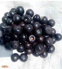 Image result for Vitex payos