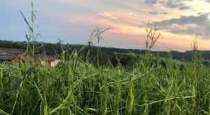 Auf der karte erkennt man, an welchen orten bzw. Unwetter Archive Blick Ins Land