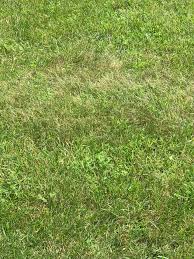 Caring for a loved one 24/7 can begin to wear on your physical and mental health. Lucky S Lawn Care Snow Clean Up Home Facebook