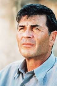 Robert Forster 1941-2019 — The Movie Seasons