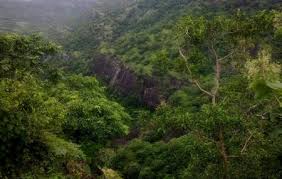 Gautala Wildlife Sanctuary Aurangabad Ticket Price Timings Address Triphobo The destination is a house for several rare species of animals and birds. gautala wildlife sanctuary aurangabad
