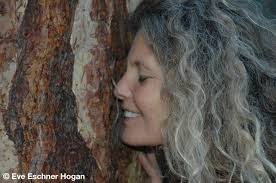 Unpacking Some Spiritual Clichés