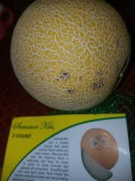 Now summer isn't technically here yet but the weather outside sure is making it feel like it is. Summer Kiss Melon For 6 Month Old Baby Babycenter