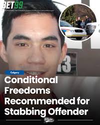 Conditional Freedoms Sought for Calgary Stabbing Offender