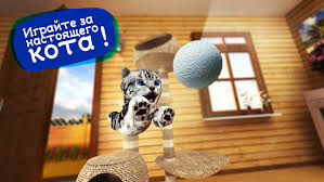 Ultimate cat simulator‏ apk + mod. Download Ultimate Cat Simulator 2 1 1 Apk For Android