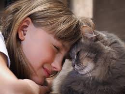 Reducing Active Signs of Dying During Pet Euthanasia