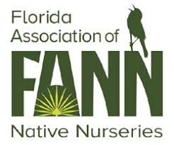 Image result for Drypetes sclerophylla