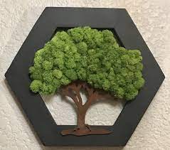 Moss Tree Of Life Honeycomb Tree Of Life Moss Wall Decor Etsy Moss Wall Art Moss Wall Living Wall Art