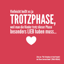 Ihr säugling schreit viel und lässt sich nur schwer beruhigen? Rezension Die Trotzphase Ist Kein Ponyhof Mamablog Einer Schreit Immer