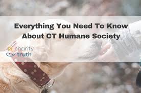 If you're interested in adopting, click below to see our adoptable animals, or if you already know which furball you'd like to take home, click the link to download one of the adoption applications. Everything You Need To Know About Ct Humane Society