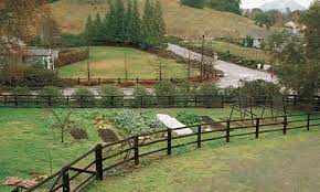 Maybe you would like to learn more about one of these? A Winter Vegetable Garden In Northern California Finegardening