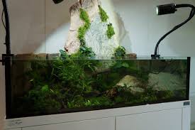 Habt Ihr Euch Auch Schon Mal Gefragt Worin Eigentlich Der Unterschied Zwischen Einem Riparium Einem Paludarium Und Ei Regenwald Terrarium Aquascaping Aquarien