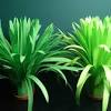 Nylon is the best as well as has the stiffest stack of the different sorts of artificial grass. 1