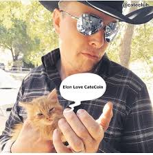 Oct 29, 2021 · catecoin is a crypto that offers a defi meme platform. Catecoin On Twitter Elon Love Cats Elon Will Love Cate Catecoin Need Elonmusk