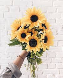 Pin By Melanie On Beautiful Blooms Flower Aesthetic Sunflower Wallpaper Pretty Flowers