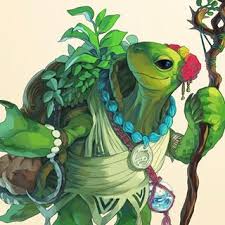 Tortle Druid Google Search Character Art Concept Art Characters Adventure Art