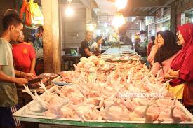 Kemudian pecahkan dan hancurkan telur ayam biasa dan tuang ke atas telur masin tadi. Harga Ayam Potong Telur Ayam Meroket Batampos Co Id