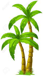 Illustration Of The Two Palm Trees On A White Background Palm Tree Drawing Palm Tree Vector Cartoon Palm Tree