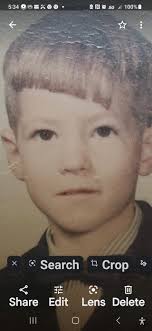 Levittown swimming pools from the 1950s