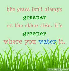 The Grass Is Always Greener On The Other Side Notes Quotes Anecdotes Of A Year Fast Passing Green Quotes Grass Greener Quotes Uplifting Quotes
