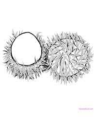 They develop imagination, teach a kid to be accurate and attentive. Rambutan Coloring Printable Rambutan Is Produced From The Plant Nephelium Lappaceum Which Is Stil Coloring Pages Coloring Pages To Print Fruit Coloring Pages