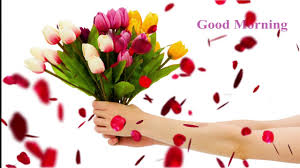 Maybe you would like to learn more about one of these? Best Good Morning Animated Video Images Youtube