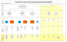Current Future Sony Alpha System Flow Chart Based On My