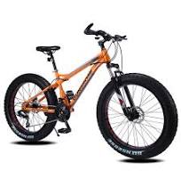 26inch Carbon Steel Frame 21 Speed Wholesale Fat Tire Bike Spoke Tire Dikesen Import Company BMX Freestyle