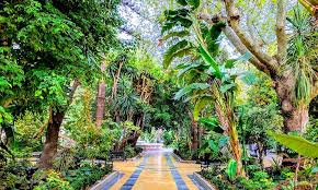Marbella Parks And Natural Attractions Hotel Amare Marbella Garden Angels Marbella Mediterranean Garden