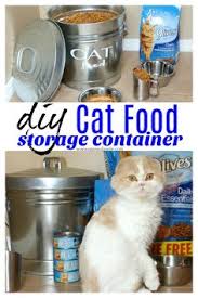 Keep Your Dry Cat Food Fresh And Neat With This Diy Cat Food Storage Container Morrisknowsbes Cat Food Storage Container Dry Cat Food Storage Cat Food Storage