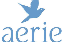 Or canada, as well as at ae.com or aerie.com, or by calling 1.888.232.4535. How To Check Your Aerie Gift Card Balance