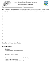 The purpose of the present brief review is to provide evidence that changes within the cns contribute importantly to altered regulation of the sns. Nervous System Brain Computer Lab Part 1